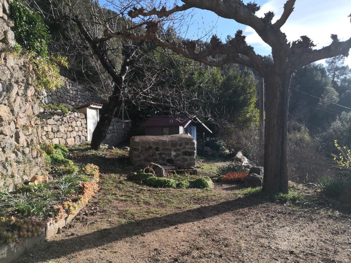 Studio Des Combes Dunières-sur-Eyrieux المظهر الخارجي الصورة